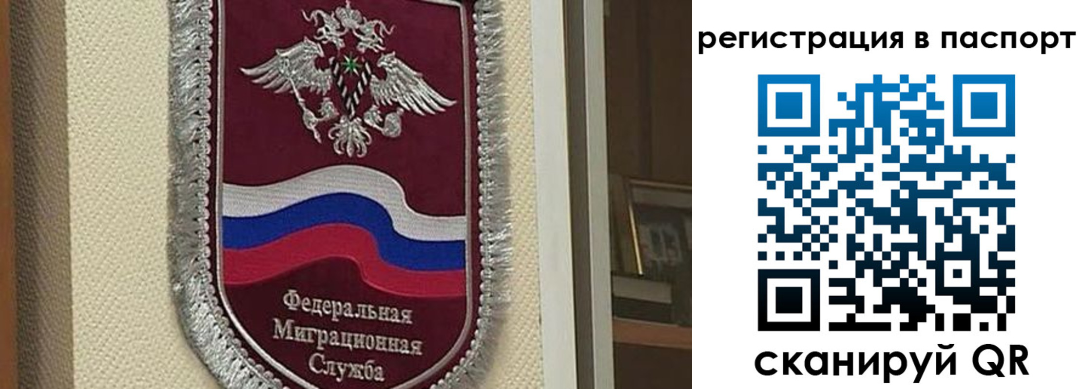 прописка законно в Почепе